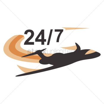 Daily flight Daily flight