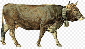 Dairy Cattle, Cattle, Ox, Bovine, Bull PNG Dairy Cattle, Cattle, Ox, Bovine, Bull PNG