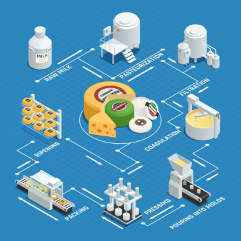 Dairy factory cheese production process Free Vector