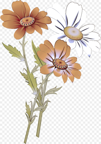 Daisy Daisy