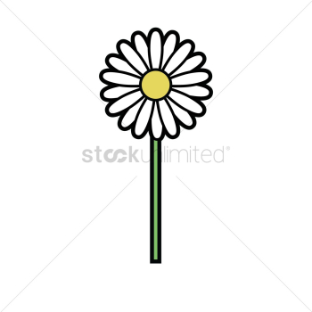 Daisy Daisy