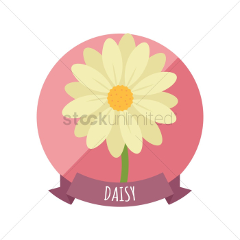 Daisy Daisy