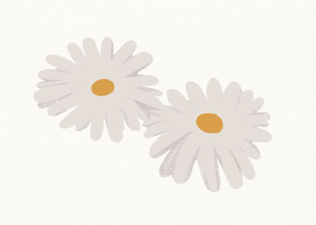 Daisy flower clipart, aesthetic flower | Free Vector Illustration - rawpixel Daisy flower clipart, aesthetic flower | Free Vector Illustration - rawpixel