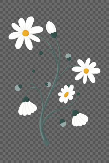 Daisy flower png sticker, aesthetic | Free PNG Sticker - rawpixel Daisy flower png sticker, aesthetic | Free PNG Sticker - rawpixel