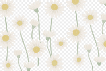 Daisy pattern png, transparent background, | Free PNG - rawpixel