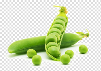 Dal Pea protein Vegetable Food, Fine peas transparent background PNG clipart Dal Pea protein Vegetable Food, Fine peas transparent background PNG clipart
