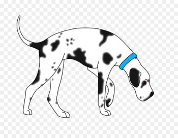 Dalmatian dog Italian Greyhound Puppy Dog breed - puppy Dalmatian dog Italian Greyhound Puppy Dog breed - puppy