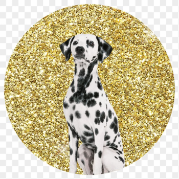 Dalmatian dog png badge sticker, | Free PNG - rawpixel Dalmatian dog png badge sticker, | Free PNG - rawpixel