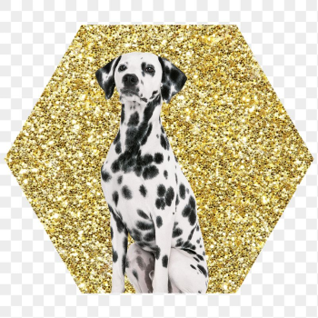 Dalmatian dog png badge sticker, | Free PNG - rawpixel Dalmatian dog png badge sticker, | Free PNG - rawpixel