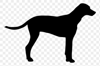 Dalmatian dog png sticker animal | Free PNG - rawpixel Dalmatian dog png sticker animal | Free PNG - rawpixel
