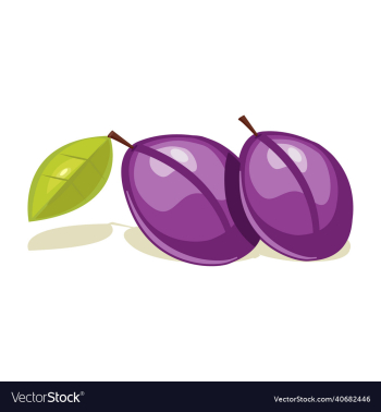 damson plum vegetable damson plum vegetable