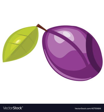 damson plum vegetable damson plum vegetable