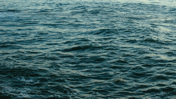 Dark Blue Sea Dark Blue Sea