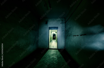 Dark corridor. Mystical interior of dark empty corridor, tunnel in an abandoned house. Dark mysterious corridor. The interior of an abandoned house, road to hell.