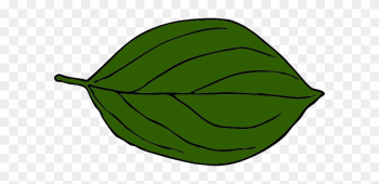 Dark Green Leaf Png Dark Green Leaf Png