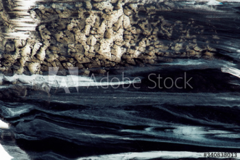Dark textured oil painting Dark textured oil painting