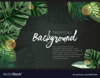 dark tropical background exotic plants template