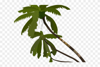 Date Palm Clipart Jungle - Jungle Trees Vector Date Palm Clipart Jungle - Jungle Trees Vector