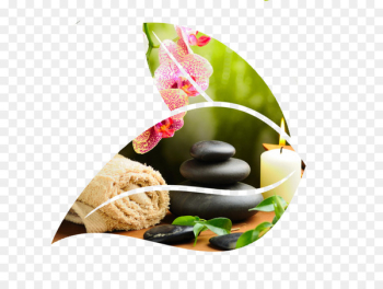 Day spa Beauty Parlour Waxing Hair Care - spa Day spa Beauty Parlour Waxing Hair Care - spa