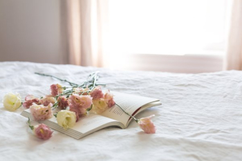 Daylight On Book & Blooms Daylight On Book & Blooms