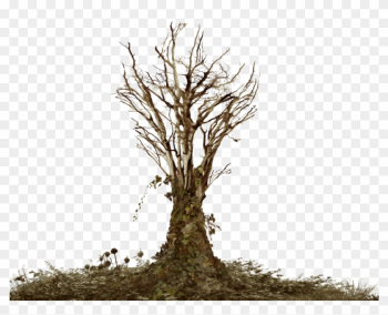 Dead Tree With Ivy Png Landscape Stock Warm By Annamae22 - Dead Trees Png Dead Tree With Ivy Png Landscape Stock Warm By Annamae22 - Dead Trees Png
