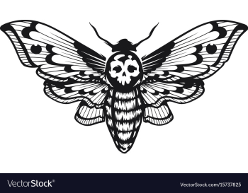 Deaths head hawk moth vector image Deaths head hawk moth vector image