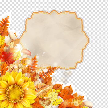 Deciduous sunflower autumn poster transparent background PNG clipart