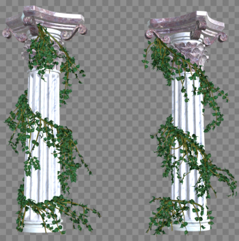 Decorative Element Transparent Decorative Element Transparent