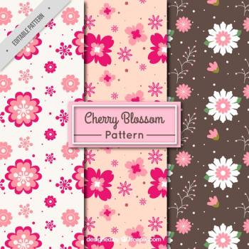 Decorative flower pattern Decorative flower pattern