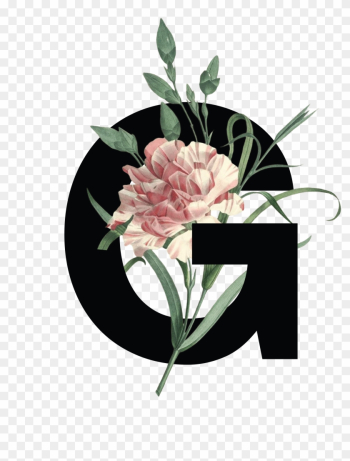 Decorative Type Design - Protea Decorative Type Design - Protea