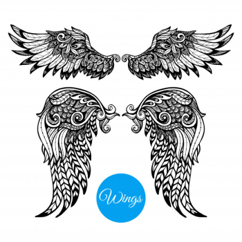 Decorative wings set Free Vector Decorative wings set Free Vector