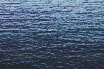 Deep Blue Sea Deep Blue Sea
