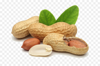 Deep-fried peanuts Peanut oil Tree nut allergy - peanuts Deep-fried peanuts Peanut oil Tree nut allergy - peanuts