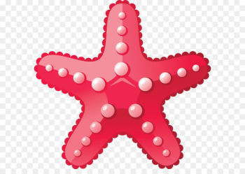 Deep sea creature Ocean Aquatic animal - Starfish PNG Deep sea creature Ocean Aquatic animal - Starfish PNG