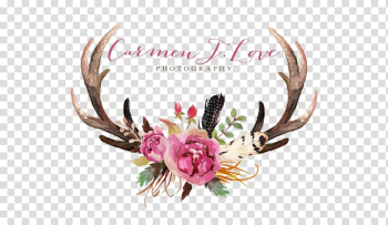 Deer Antler Floral design Flower Moose, deer transparent background PNG clipart Deer Antler Floral design Flower Moose, deer transparent background PNG clipart
