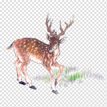 Deer Chinese painting Ink wash painting, Deer transparent background PNG clipart Deer Chinese painting Ink wash painting, Deer transparent background PNG clipart