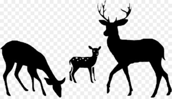Deer Clip art Silhouette Vector graphics Portable Network Graphics - deer 