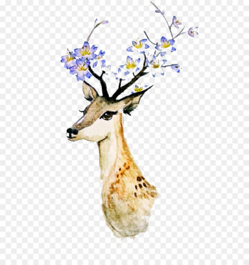 Deer Creative Watercolor Watercolor painting - Watercolor deer 