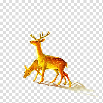 Deer, deer transparent background PNG clipart Deer, deer transparent background PNG clipart