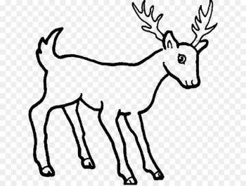 Deer Drawing Image Sketch Cartoon - deer Deer Drawing Image Sketch Cartoon - deer
