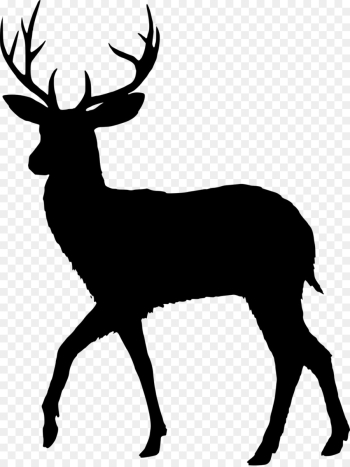 Deer, Fallow Deer, Reindeer PNG Deer, Fallow Deer, Reindeer PNG