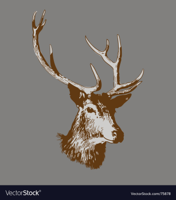 Deer head vector image Deer head vector image