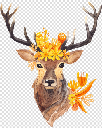 Deer illustration, Deer hunting Antler Deer horn, Deer transparent background PNG clipart