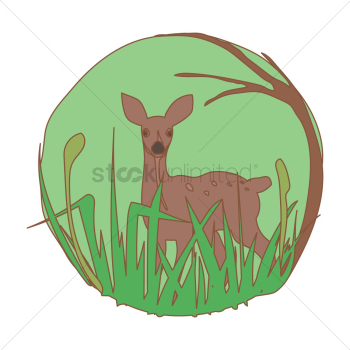 Deer in forest Deer in forest