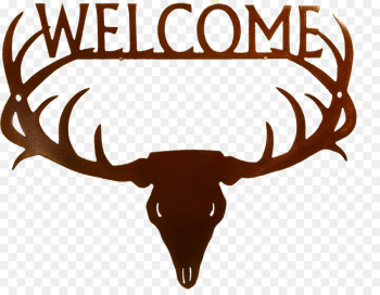 Deer, Moose, Antler, Horn, Elk PNG Deer, Moose, Antler, Horn, Elk PNG