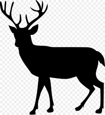 Deer, Moose, Reindeer, Mammal PNG Deer, Moose, Reindeer, Mammal PNG