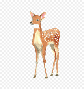 Deer Poster Watercolor painting Illustration - Watercolor deer 