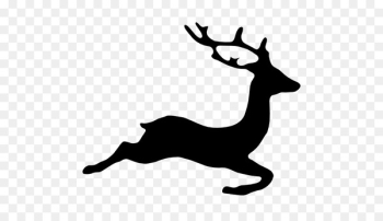Deer Silhouette Drawing - deer Deer Silhouette Drawing - deer