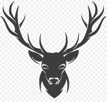 Deer Stencil Drawing - horns Deer Stencil Drawing - horns