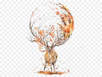 Deer Watercolor painting Drawing Illustration - Autumn deer Deer Watercolor painting Drawing Illustration - Autumn deer